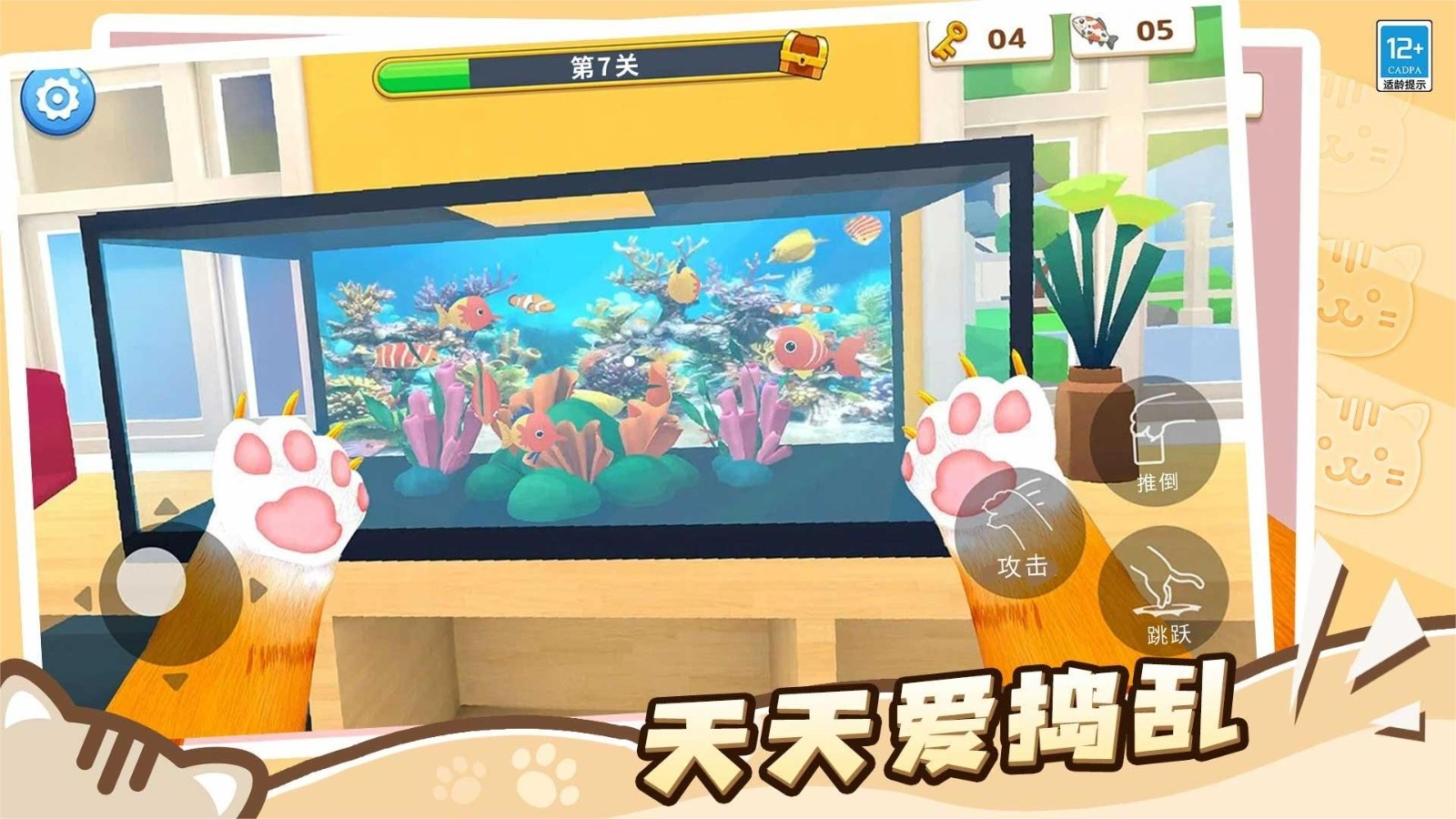 猫咪养成计划