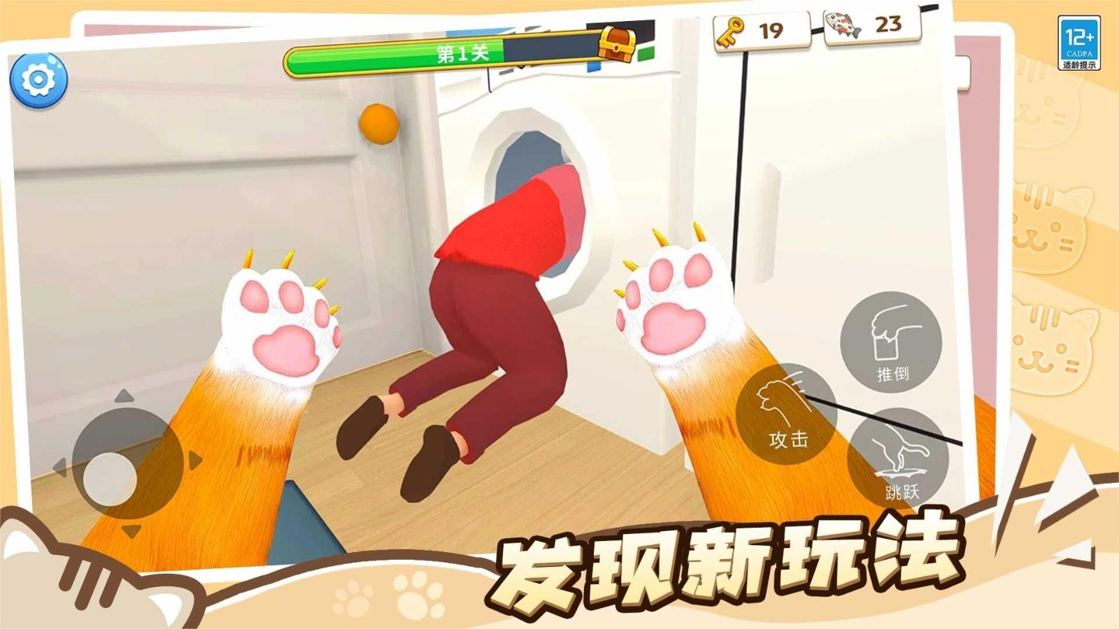 猫咪养成计划
