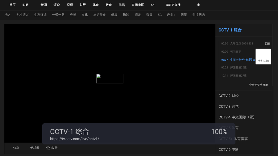 WebView 电视