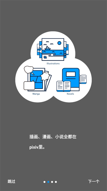 P站浏览器