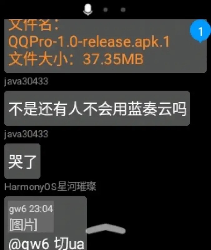 QQPro截图1