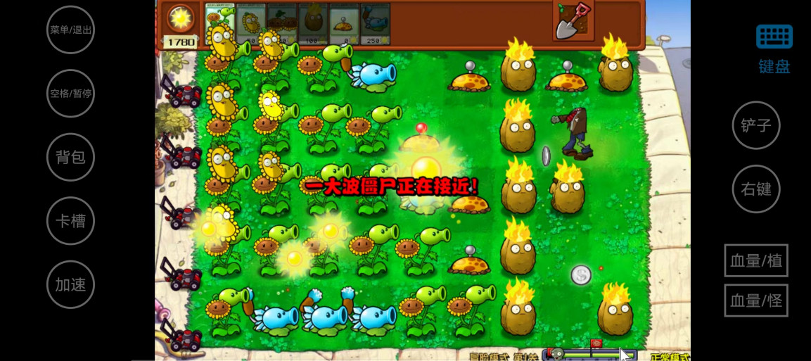 植物大战僵尸杂交版