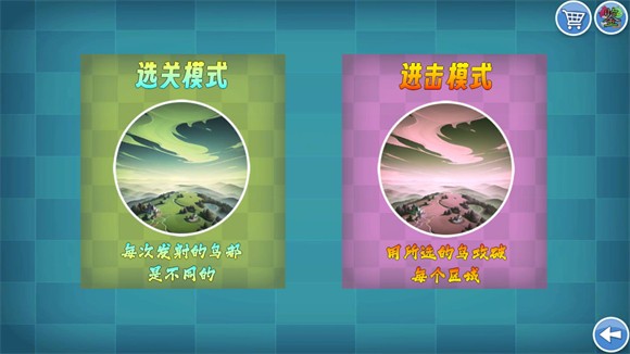 我的鸟随机