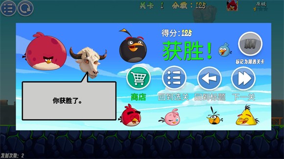 我的鸟随机
