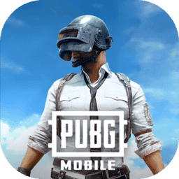 pubg国际服
