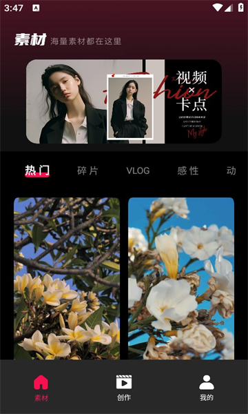 tibni截图1