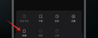 双子星浏览器