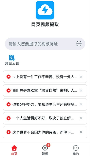 视频解析大师