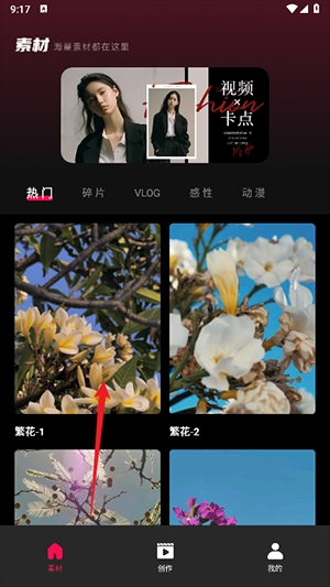 tibni软件