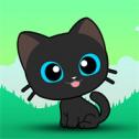 超绝小猫咪