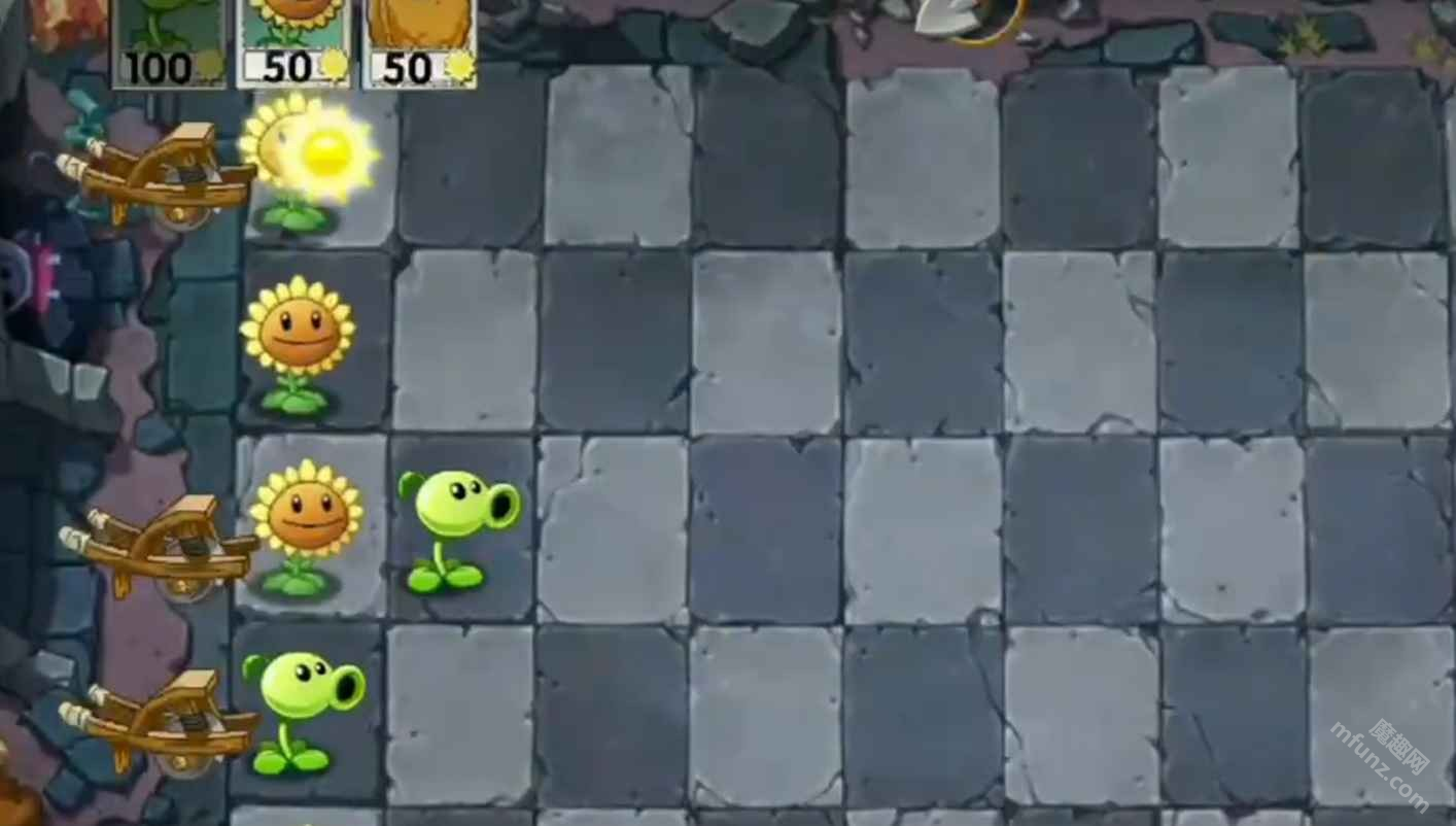 植物大战僵尸WENHUA版
