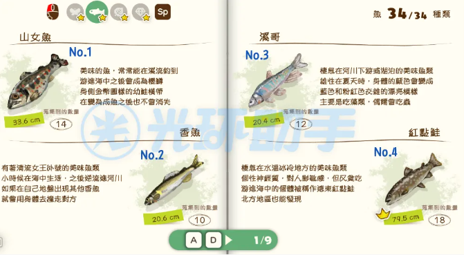 蜡笔小新煤炭镇的小白安卓版