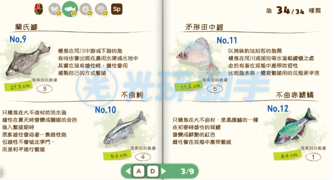 蜡笔小新煤炭镇的小白安卓版