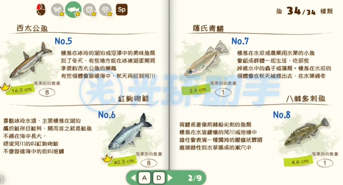 蜡笔小新煤炭镇的小白安卓版