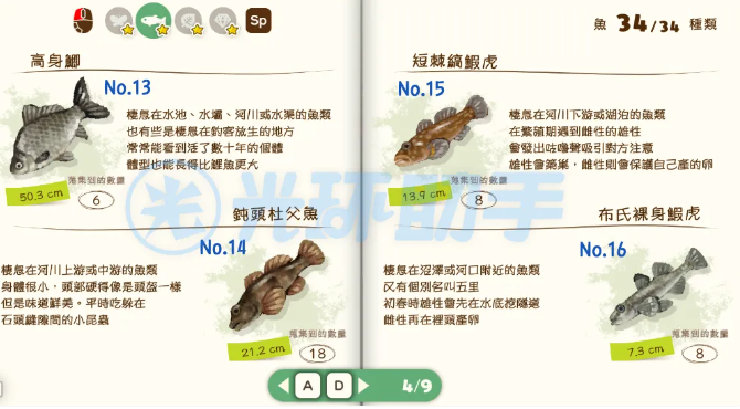 蜡笔小新煤炭镇的小白安卓版