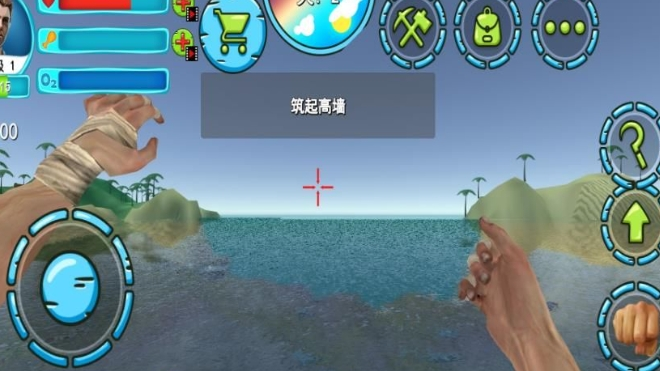 开荒求生记
