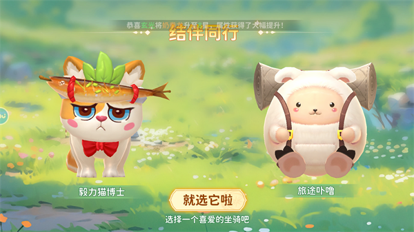 龙骑士学园