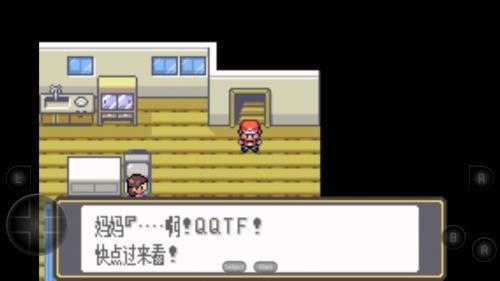 口袋妖怪xy中文版