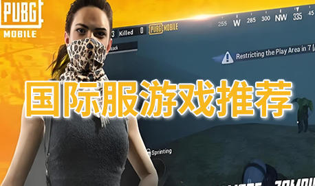 国际服