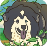 老友狗狗