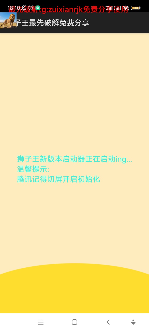 狮子王直装