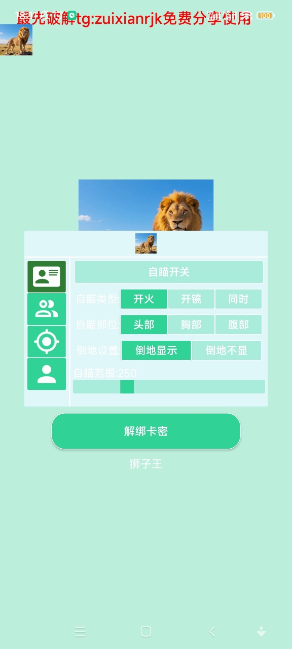 狮子王直装