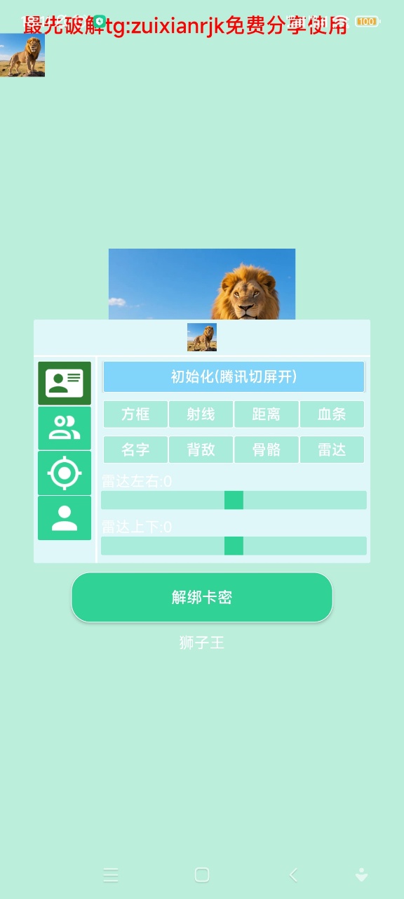 狮子王直装