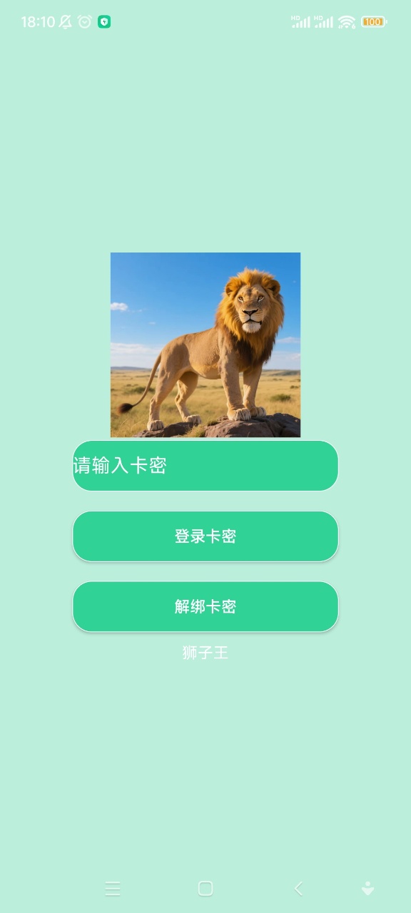 狮子王直装