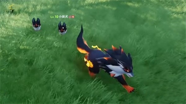 伊莫开局新手宠物选哪个好