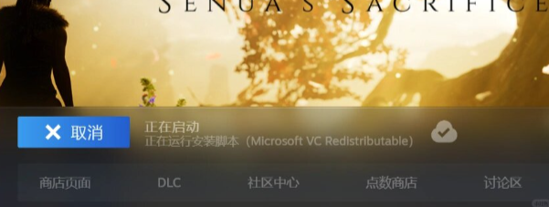 禁闭求生2正在运行安装脚本怎么解决