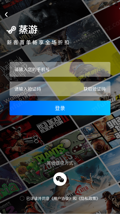 蒸游