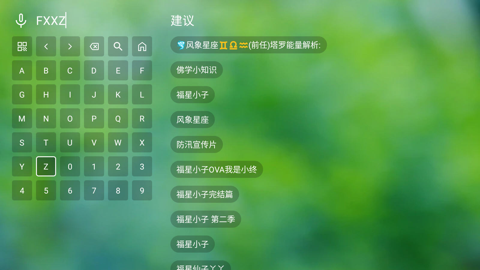 肥猫TV