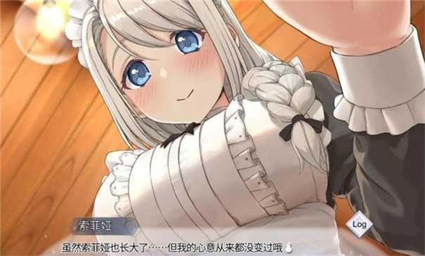 我与索菲亚的秘密