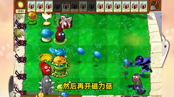 植物大战僵尸盲盒版